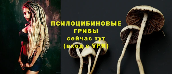 мефедрон мука Новодвинск