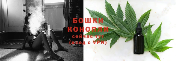 spice Новозыбков