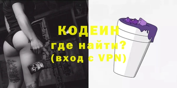 шишки Ленинградская