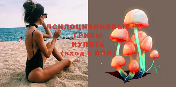 apvp Нефтекумск