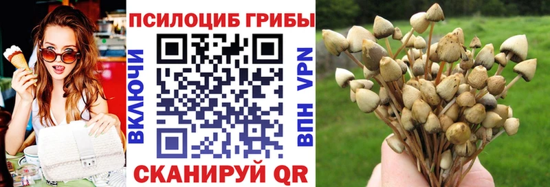 KRAKEN рабочий сайт  Шадринск  Псилоцибиновые грибы Cubensis  наркошоп 