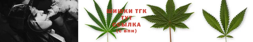 omg онион  Шадринск  Бошки марихуана THC 21% 