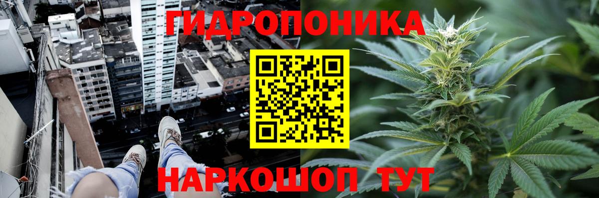 Конопля конопля Шадринск